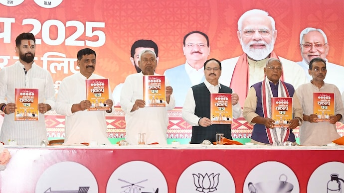 BJP manifesto