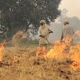 पंजाब में पराली जलाने पर बवाल