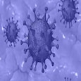 China investigated weaponising coronaviruses in 2015: Reports 