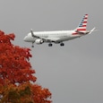 US flight crisis